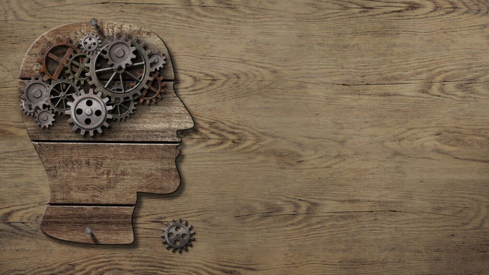 brain